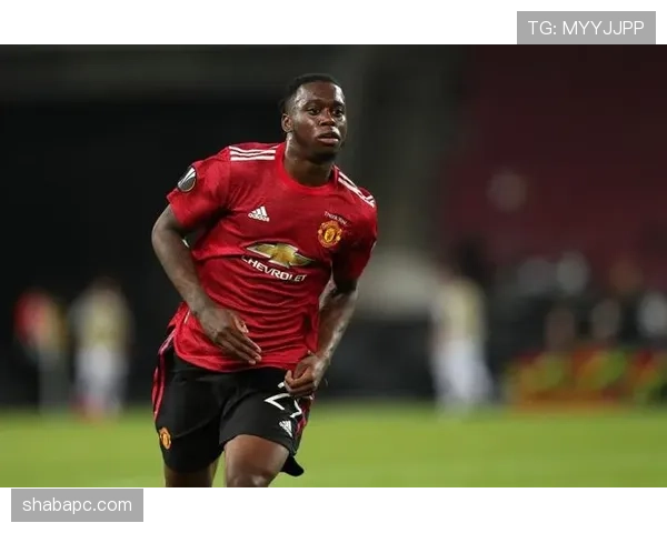 米格尔·古铁雷斯近期防守端表现稳健分析